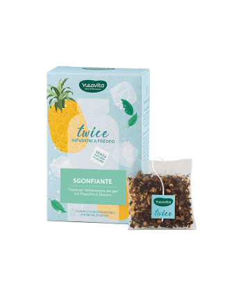 Infuso a freddo Sgonfiante  Ananas Maxi filtro  to Go