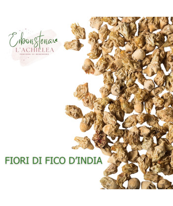 Fiori di fico d’India – Proprietà e Benefici | Erboristeria