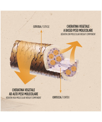 Shampoo Riparatore Intensive Keratine Guam