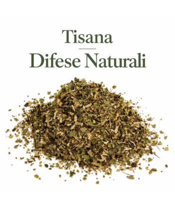 Tisana Difese Naturali