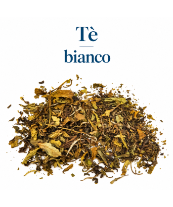 Tè bianco