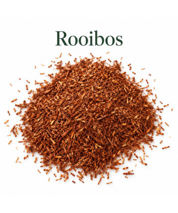 Rooibos