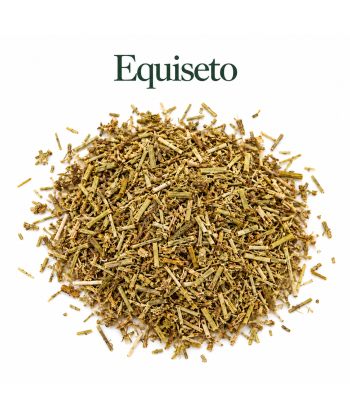 Equiseto