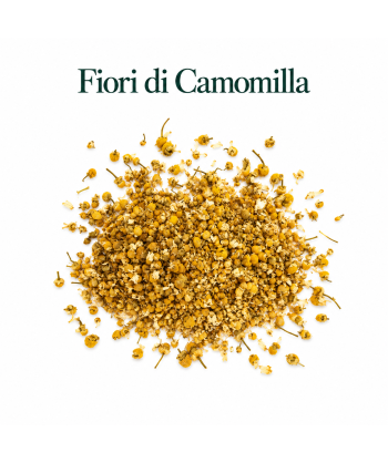 Fiori di Camomilla
