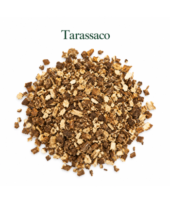 Tarassaco