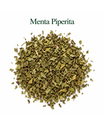 Menta Piperita