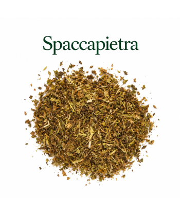 Spaccapietra