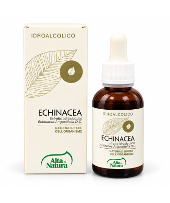Echinacea Tintura madre