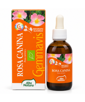Rosa Canina - Gemmoderivato